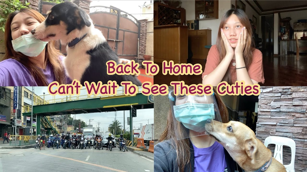 Vlog｜Negative COVID-19 Swab Test Result 🎉 Done My Quarantine🏠