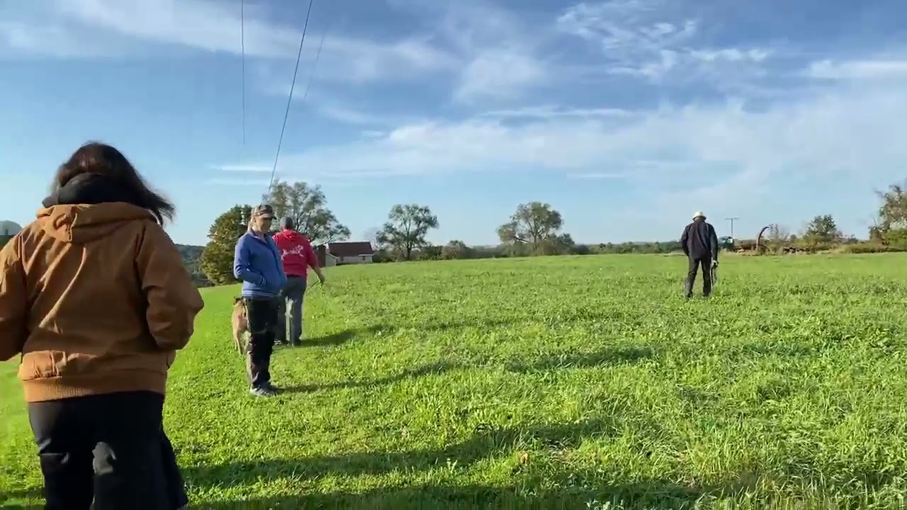 Pridenjoyz Triple Play-IGP 1. Cane Corso.