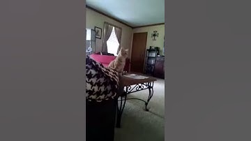 SILLY STRING (PT. 2)