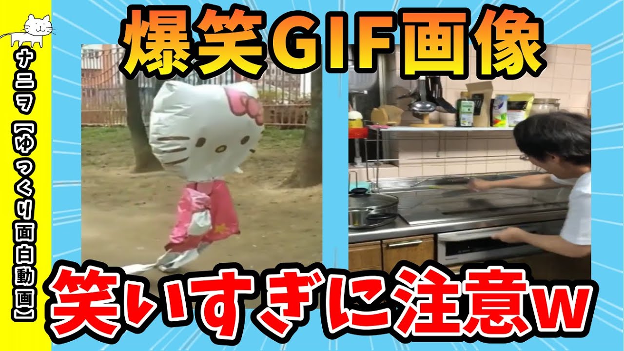 【面白画像】最高に面白いGIF画像で笑ったら負けwww【ゆっくり解説】 - YouTube