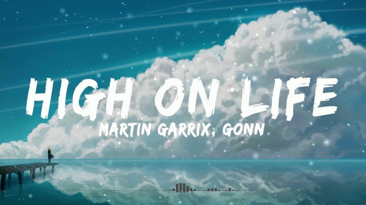 Bonn. High on life сестра. High on life обложка. Martin garrix bonn high on life. Martin garrix bonn high on life.