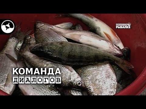 Тарань на боковой кивок | Классика