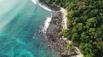 Vidéo aérienne de la mer et la forêt prise avec un drone en HD