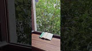 Huzura Açılan Pencere