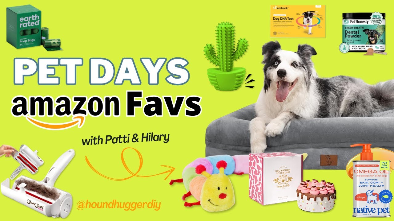 Amazon Pet Day - Day 2 🐾 More Must-Have Deals for Your Dogs