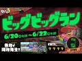 【サーモンラン】黄金ビッグビッグ乱獲昼の部