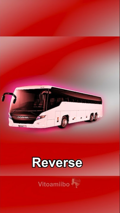 What “Bus Horn” is the BEST? 🚌