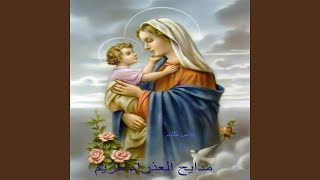 Enty Elshafi\