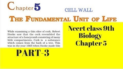 Part 3 The Fundamental unit of Life Class 9 Science Chapter 5 Biology CBSE NCERT