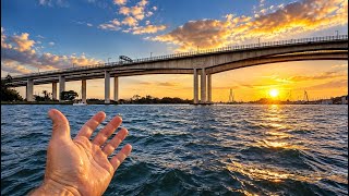 WHAT FISH ARE UNDER THIS BRIDGE?