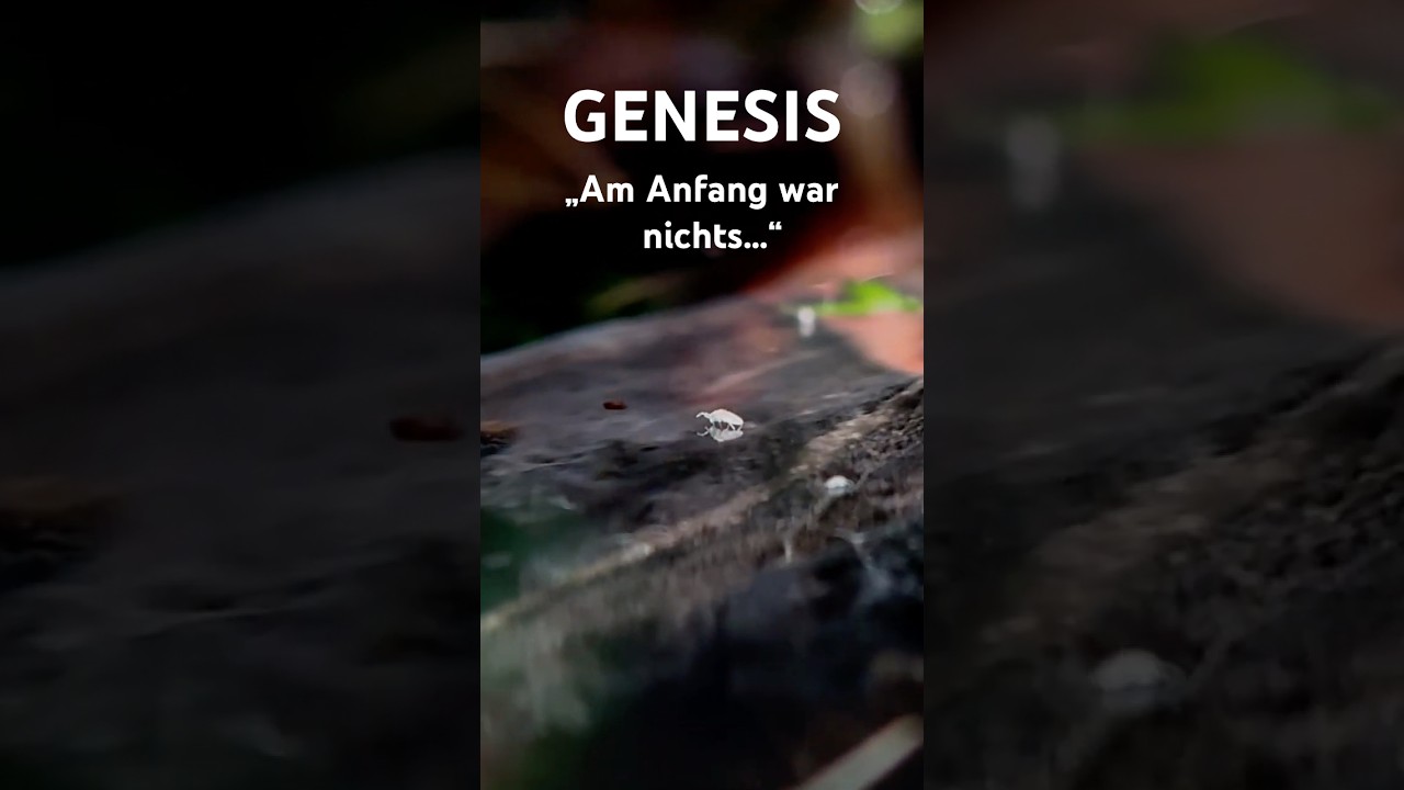 GENESIS | Teaser | Episode 1. 