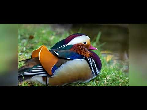 موعد مع سعادة القلب 