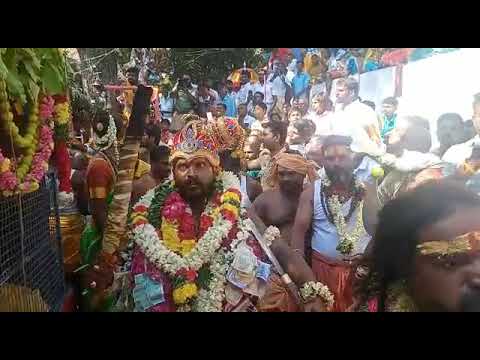 Kollimalai Masi periyanna Swamy prasath 9080819593