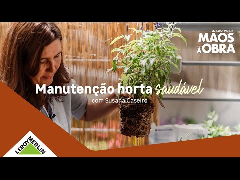 CUIDADOOS A TER NA MATUTENÇÃO PARA UMA HORTA SAUDÁVEL | EP2 | Mãos à Obra LEROY MERLIN