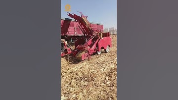 New-style tractor-towed square bale automatic pick-up and loading machine for yellow silage