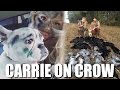 Carrie on Crows