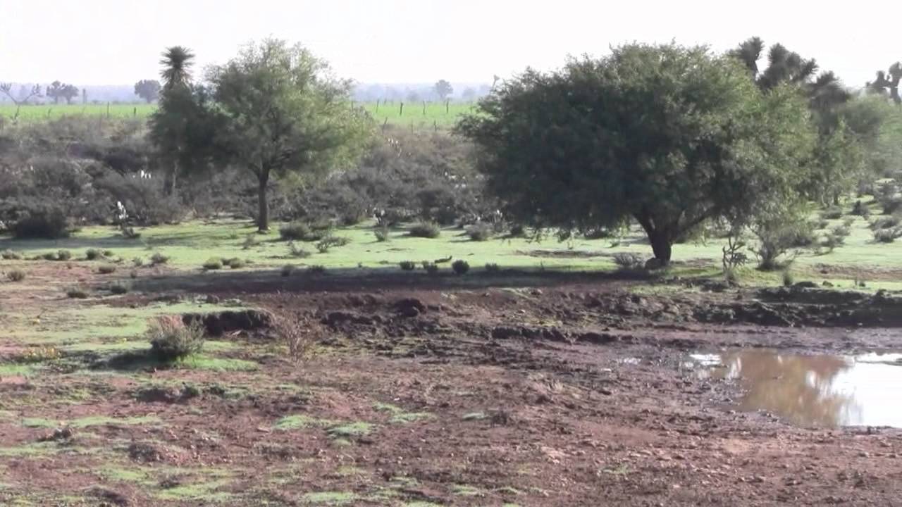 Estancia de Animas La Orilla del Panteon YouTube
