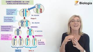 56.Biología.Genética y Herencia (II)