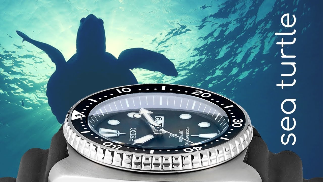 Seiko Dive Watch Exclusive - The Long Island Sea Turtle Watch - YouTube