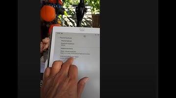 E ink: Onyx Boox Max 3. Does it work as a Word Processor?