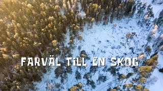 Farväl till en skog  [kamintält, vintercamping, roslagen]