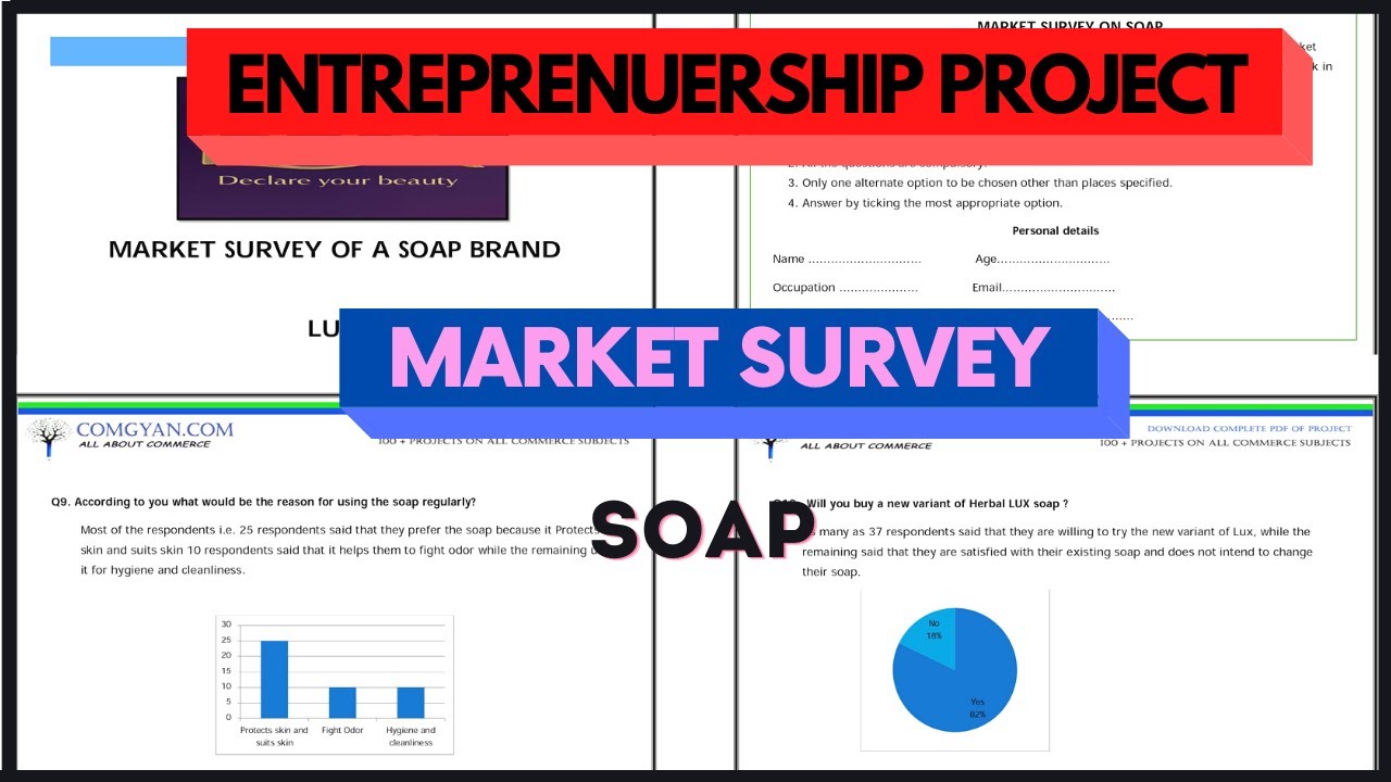 entrepreneurship project on market survey