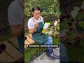 Советы по уходу за петуньями #дача #садоводничество #огород #сад