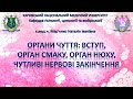 Органи чуття, частина 1. Вступ, орган смаку, орган нюху, чутливі нервові закінчення. Гістологія