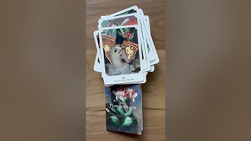 The Flower Oracle Lo-Fi Flip Through