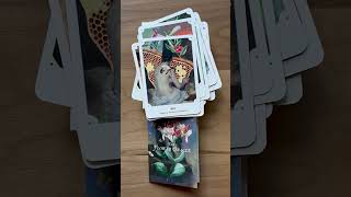 The Flower Oracle Lo-Fi Flip Through