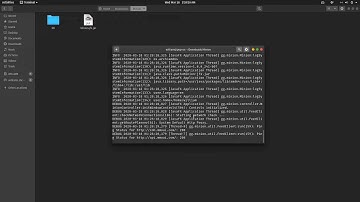 Tutorial : Installing Minion Mod Manager in Pop! OS 19.10