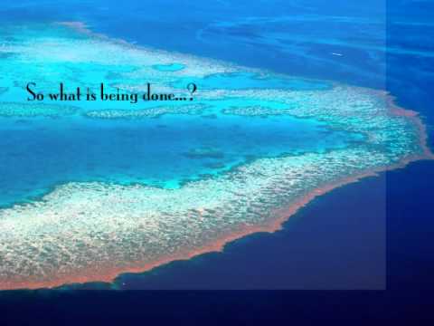 great barrier reef threats case study