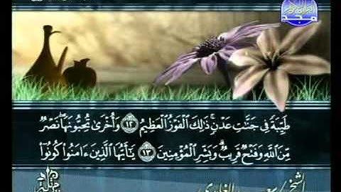 المصحف المرتل للقارئ الشيخ سعد الغامدي | الجزء ( 28 )
