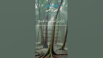 تلاوة خاشعة عطرة مباركة جميلة عذبة للشيخ سعد الغامدي ماتيسر من سورة النبأ