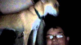 Capture 20111213