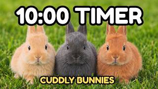 🐰 10 Minute Focus Timer for Kids | Cute Bunnies 🌼