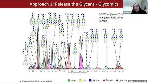 Mass Spectrometry to Study the Cancer Glycoproteome