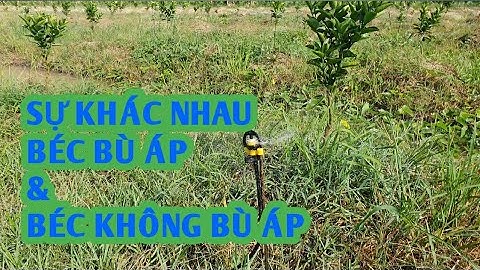 Khác Nhau Giữa Béc Tưới Có Bù Áp Và Béc Không Có Bù Áp Trong Hệ Thống Tưới Tự Động