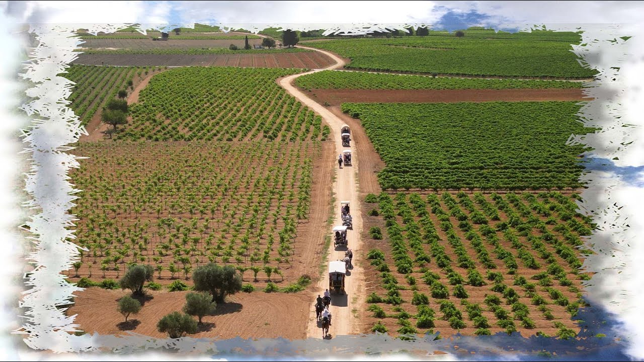 RUTA ECUESTRE EN SOCUELLAMOS CON DRON  4K  2023