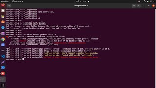 How to fix Failed to start jenkins continuous integration server in linux