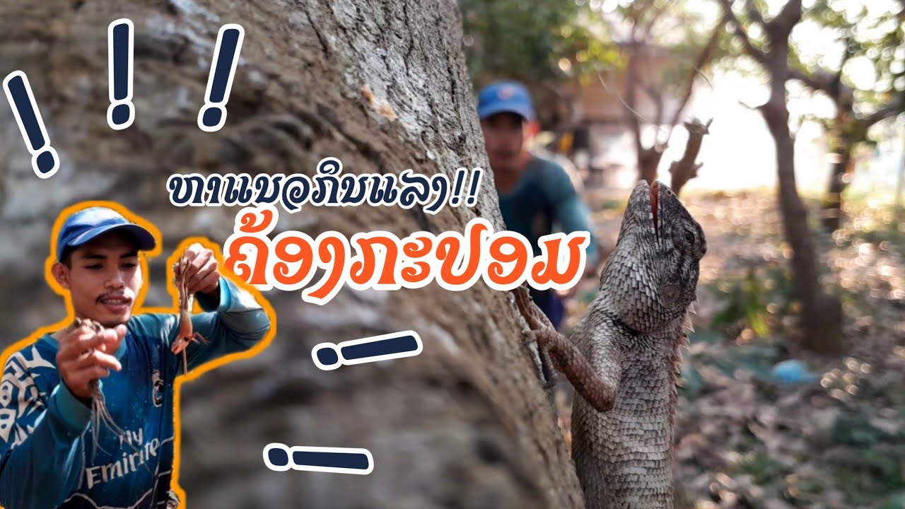 เลาะหากะปอม | ຫາເລາະຄ້ອງກະປອມ