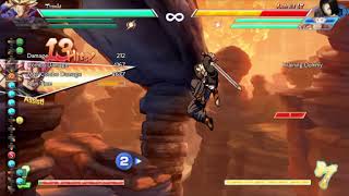 Using Ex Flip Example Aemuli