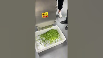 #celery cutting machine #commercial vegetable cutting machine