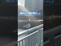 【おまけ】　鳥さん「誰か来て、、」　#鳥 #おまけ #shorts
