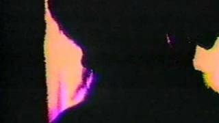 Dinosaur Jr-No Bones Official Video