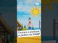 Путин и северокорейская рыбка Zapovednik