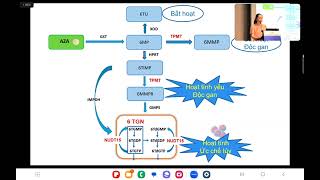 bệnh crohn điều trị