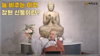 해운대 목탁소리 토요법회 법상스님 실시간 법문