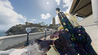The VX COMPACT Is the best AR no doubt