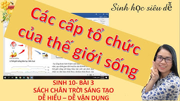 Sinh 10 bài 3 - Các cấp độ tổ chức của thế giới sống|Chân trời sáng tạo